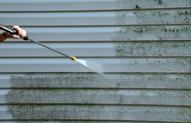 Mold Removal Process in Lake Norman Of Catawba, NC